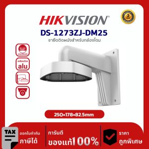 Hikvision Wall mount รุ่น HVS-1273ZJ-DM25 For IP Special FishEye