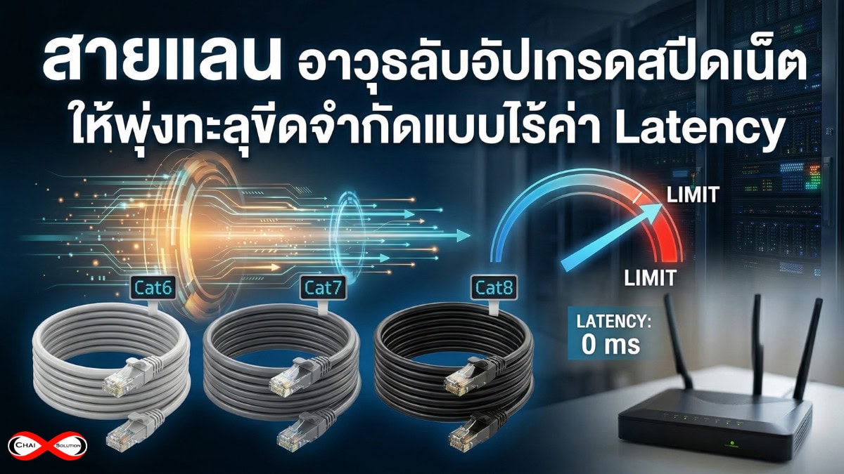 สายแลน